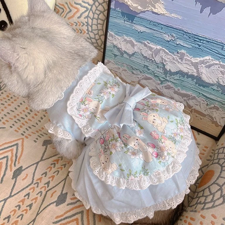Lace Teddy Lingerie - Pet sevimli önlük elbise dantel çiçek