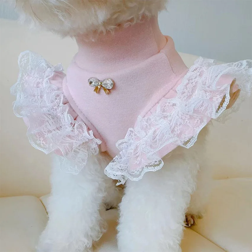 Evcil hayvan giyim sonbahar ve - Lace Teddy Lingerie incelemesi ve fiyatı
