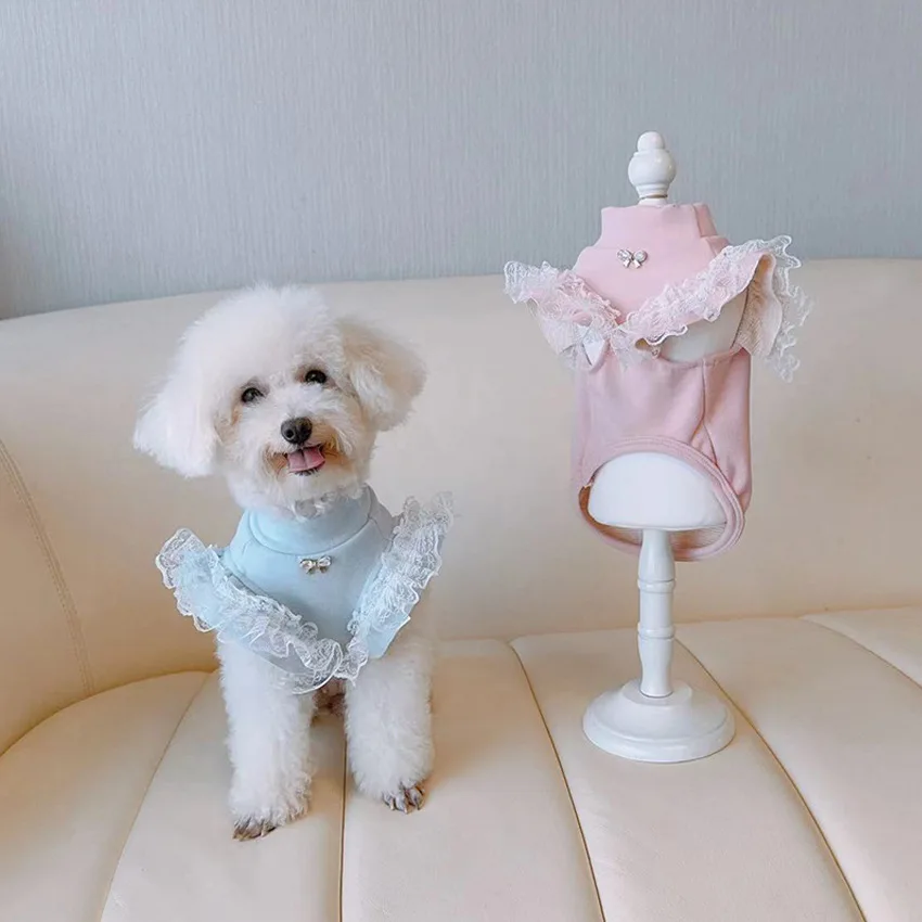 Evcil hayvan giyim sonbahar ve - Lace Teddy Lingerie incelemesi ve fiyatı